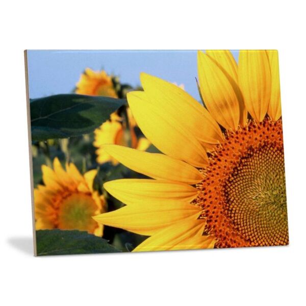 6"x8" Ceramic Tile Thumbnail